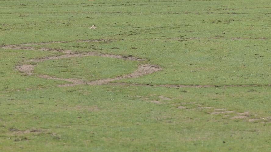 SUN VALLEY GOLF COURSE DAMAGE (2).jpeg