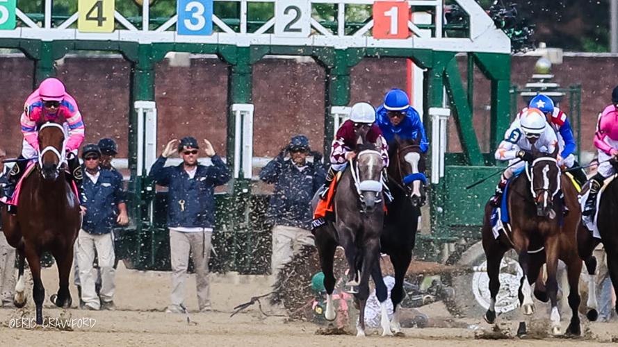 Oaks spill
