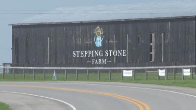 Stepping Stone Farm
