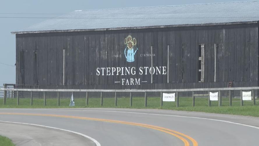 Stepping Stone Farm