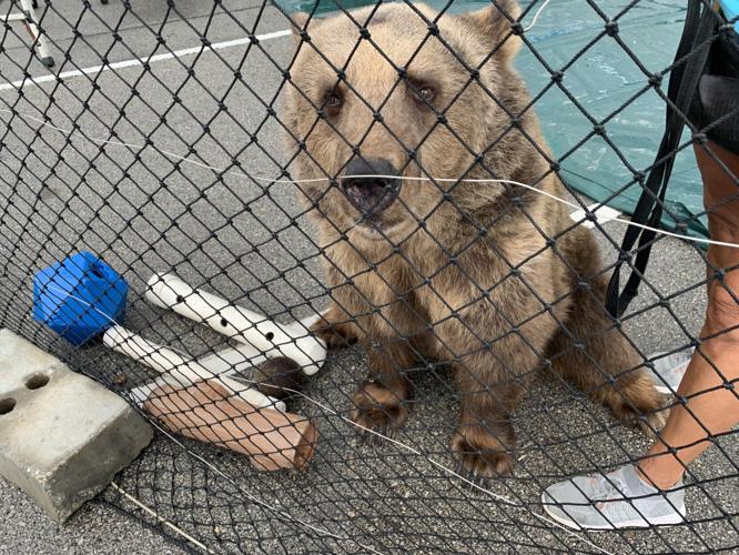 1st Day of Kentucky State Fair