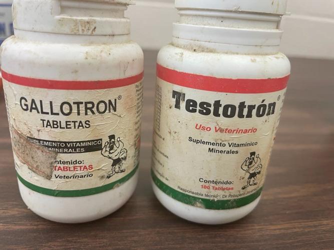 Cockfighting Seizure