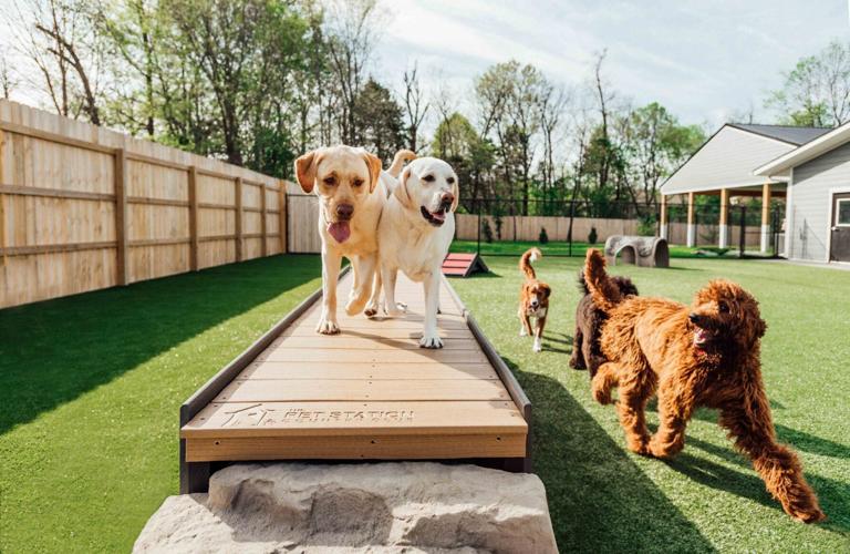 Pet Station Country Club 1