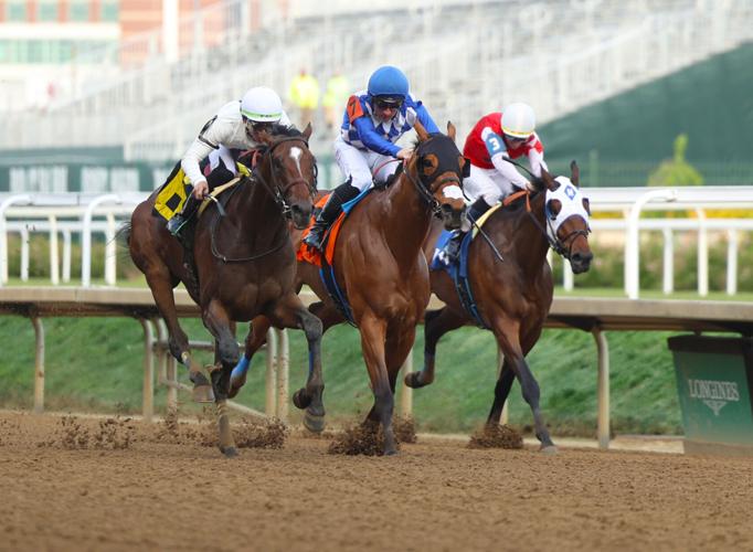 Horses run at Opening Night on final stretch.JPG