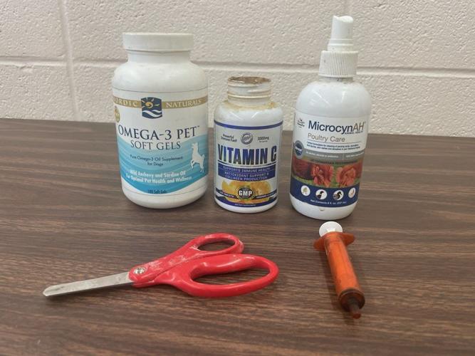 Cockfighting Seizure