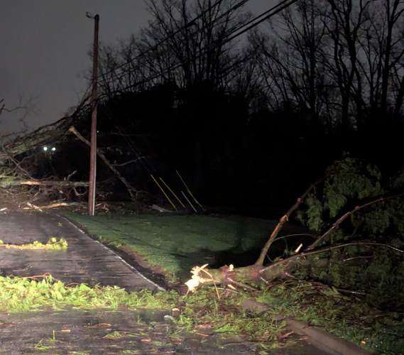 Erica Combs - Plantside Drive storm damage 4.3.25