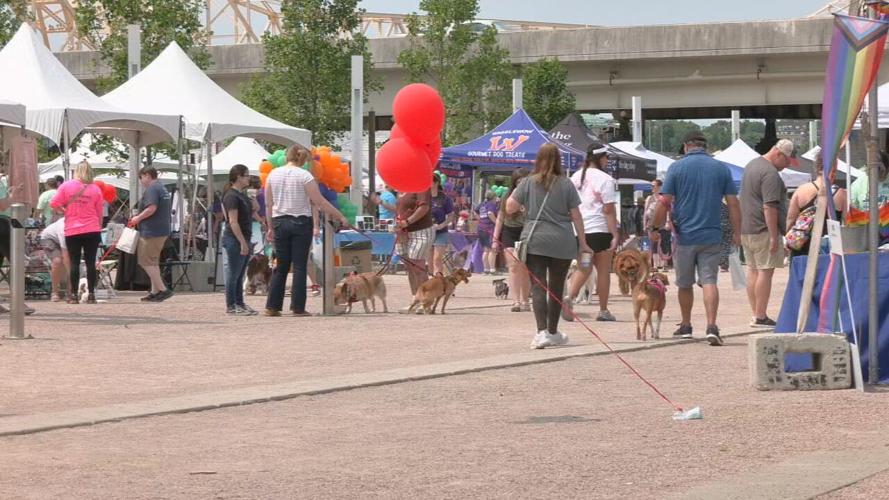 WAGGIN TAIL WATERFRONT.jpeg