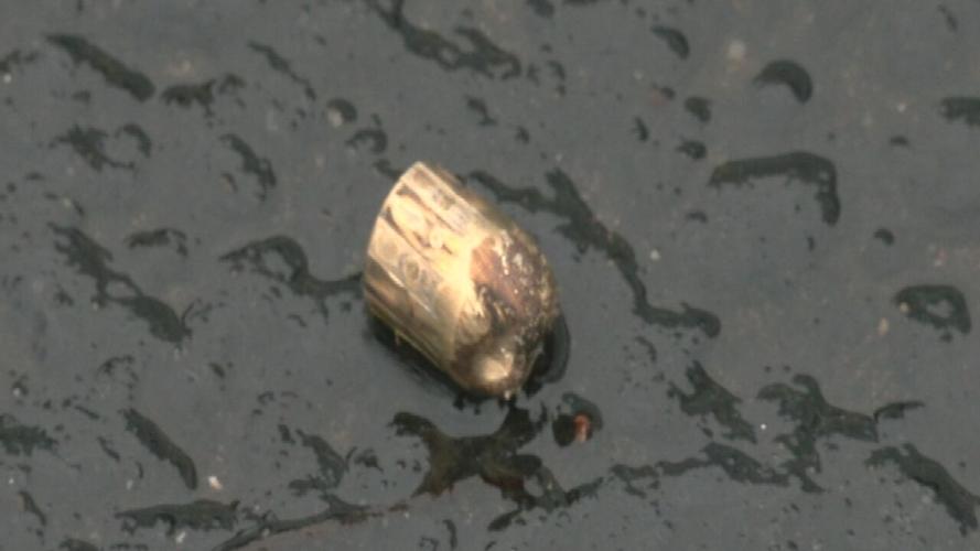 Empty bullet casing from celebratory gunfire