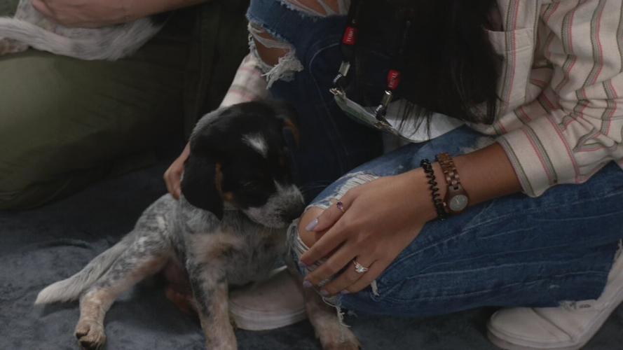 Lucky's Mutt Madness adoption event 10-21-21 (5).jpeg