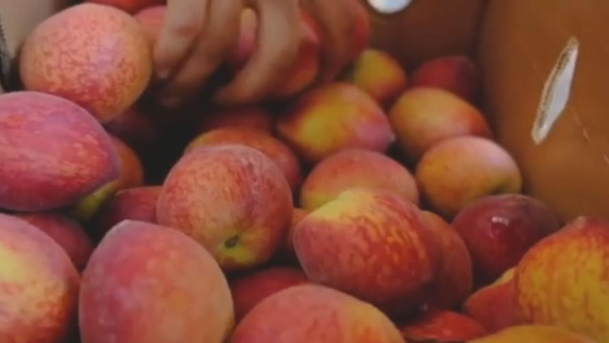 The Peach Truck peaches.jpeg