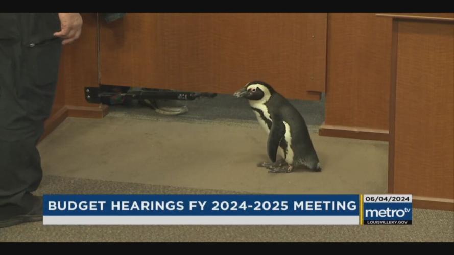 Louisville Zoo brings animals to Metro Council meeting - 6.4.24