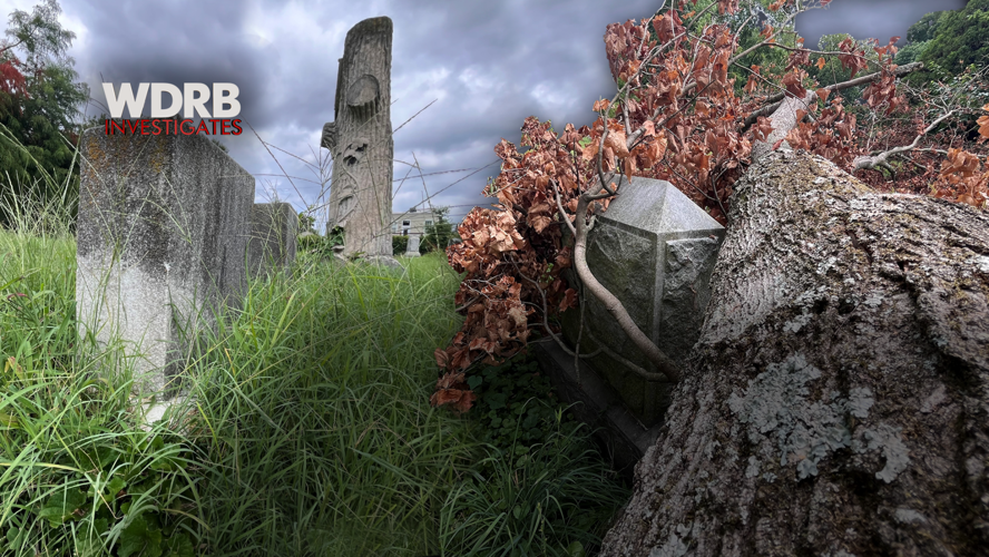 Downed tree at Eastern Cemetery