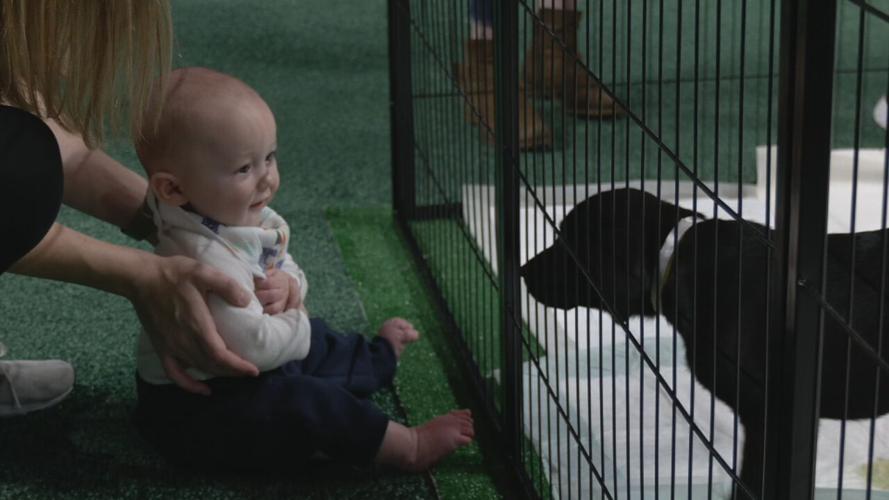 Lucky's Mutt Madness adoption event 10-21-21 (4).jpeg