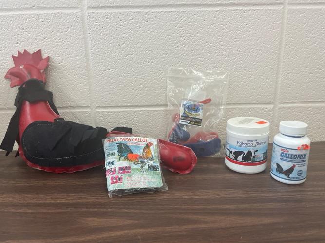 Cockfighting Seizure