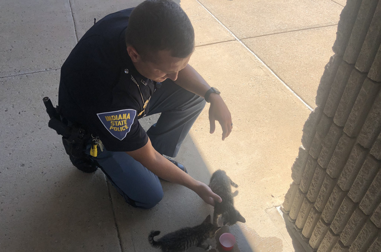 Trooper feeds kittens