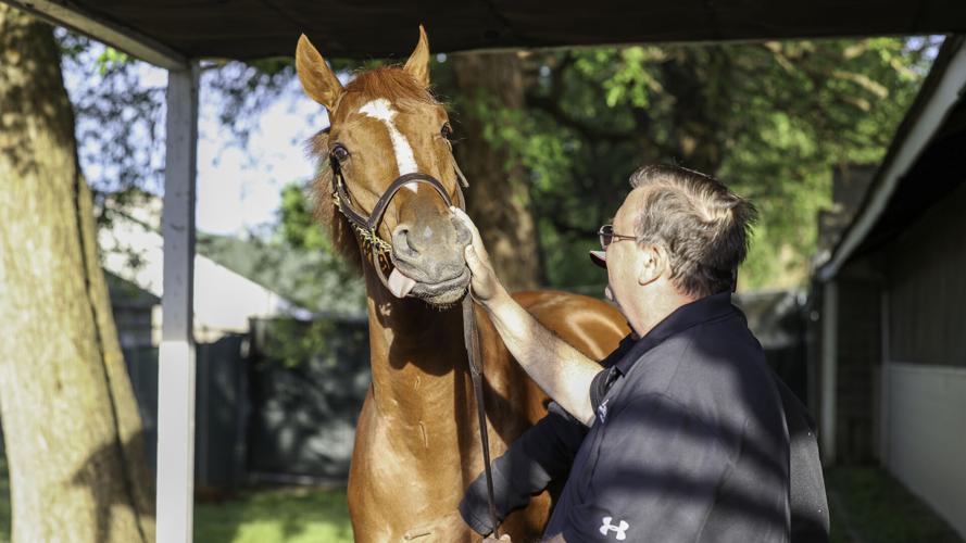 Rich Strike and trainer