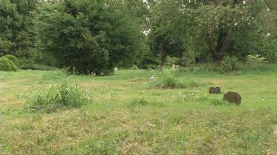 Greenwood Cemetery in Chickasaw Park