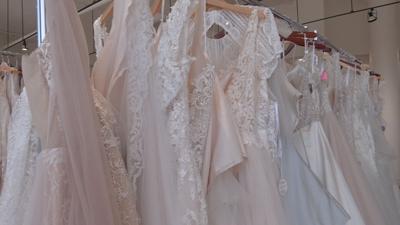 Wedding dresses inside Sophia's Bridal.jpeg