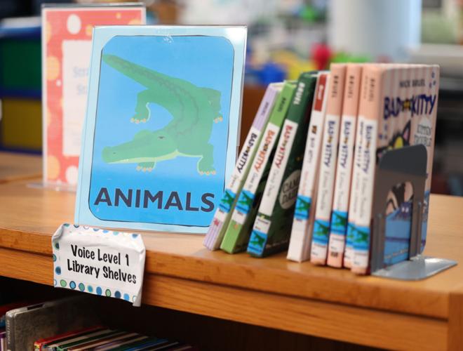 Library inside of Shepherdsville Elementary