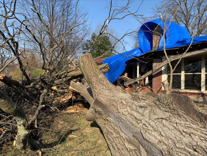 Tree falls onto home