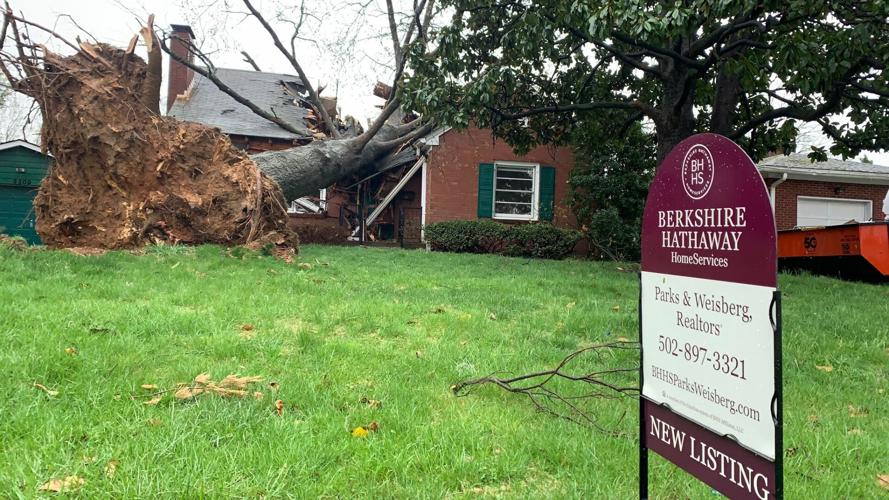 Tree on home at Terrier Lane and Heather Lane after severe storms on April 5, 2023.jpg
