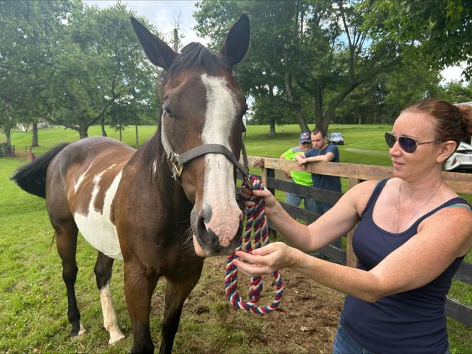 Roll Call Foundation