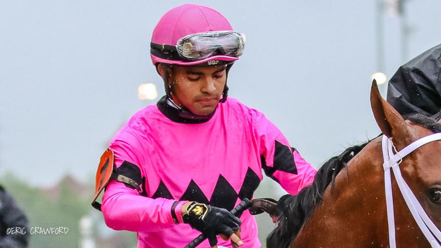 Luis Saez Maximum Security