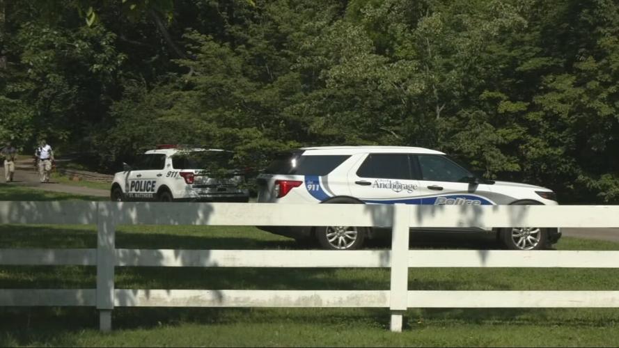 Anchorage and St. Matthews Police Cars