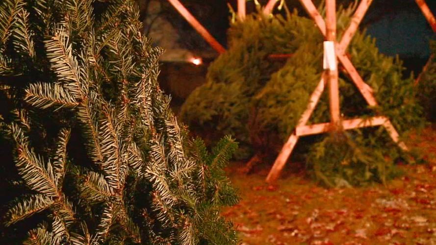 GIRLS SCOUT CHRISTMAS TREES STOLEN 12-2-19 (1).jpg