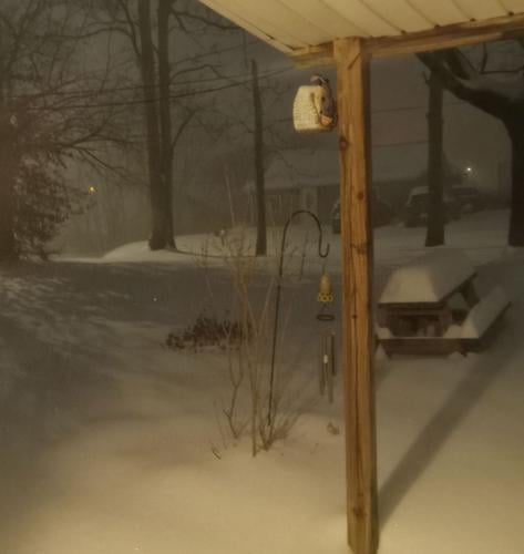 BEDFORD SNOW 01-25-26 DEBBI TAYLOR.jpg