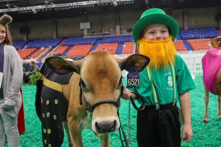 KY STATE FAIR - FILE LIVESTOCK COMPETITIONS.jpg