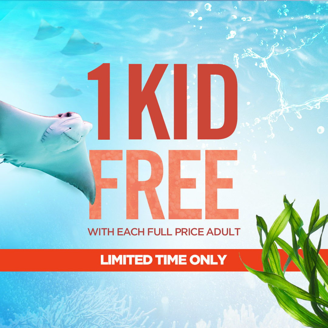 Newport Aquarium offering free admission for kids through March 1 ... - 5e135b910a27f.image