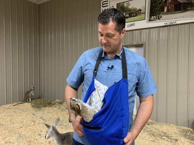 Wilstem Wildlife Park (62).JPG