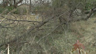 Scardein Cemetery overgrown