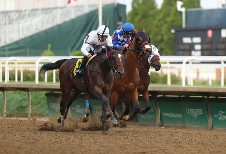 Horses race at Opening Night stretch.JPG
