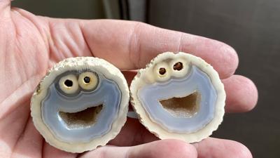 Cookie Monster Rock