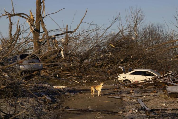 DAWSON SPRINGS TORNADO DAMAGE - AP FILE