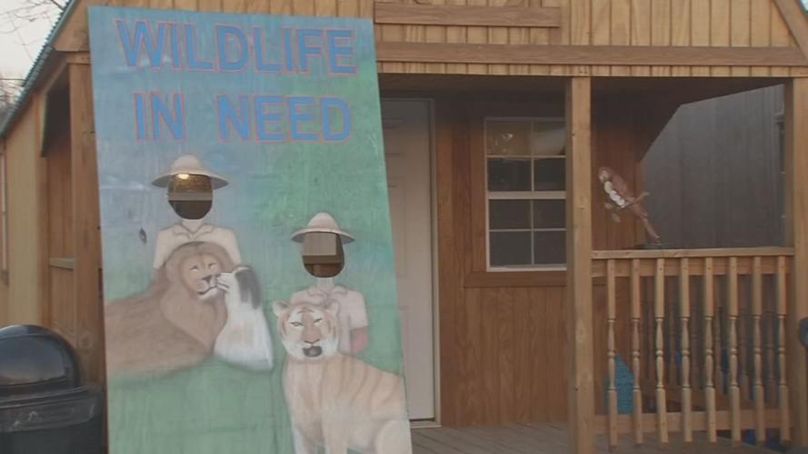 Wildlife In Need
