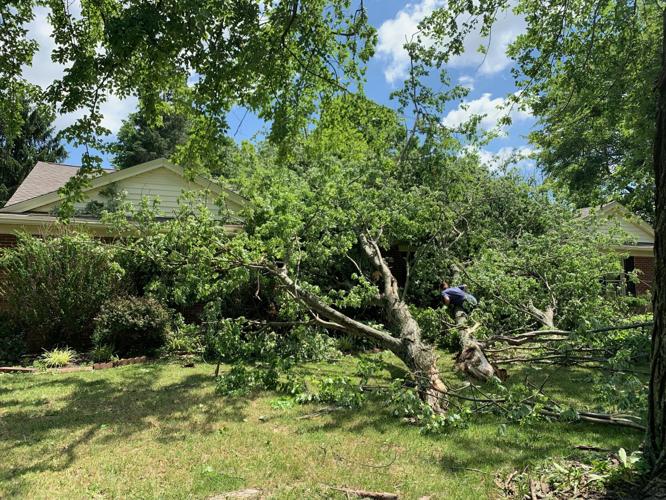 STORM DAMAGE - Murray Pike Hill - 6-26-2023 2.jpg