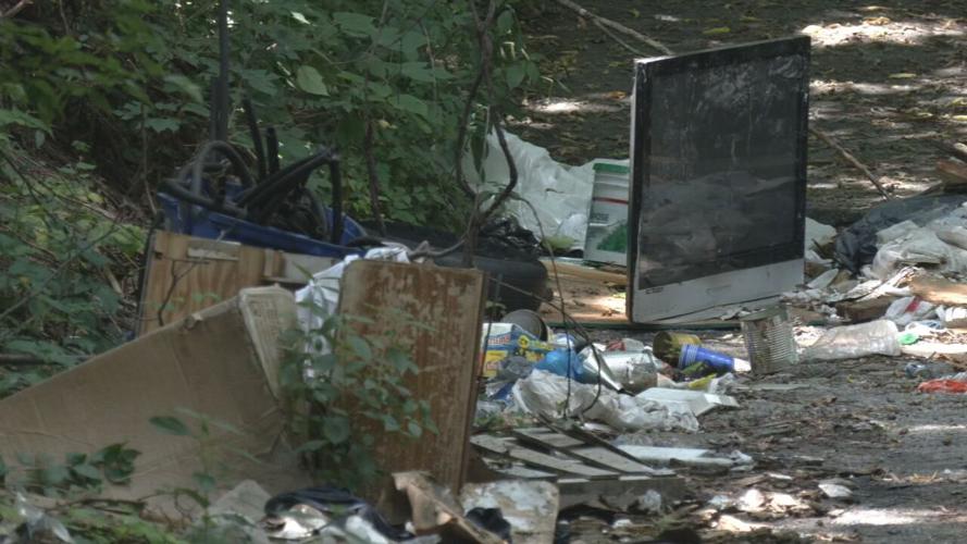 Illegal dumping site