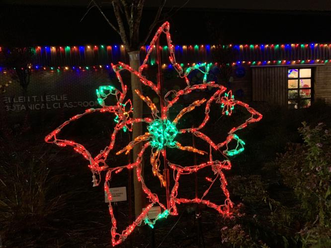 Christmas lights at Gardens Aglimmer