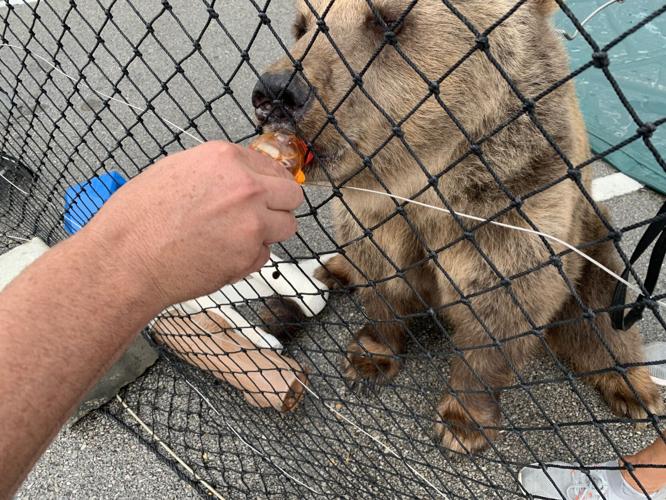 1st Day of Kentucky State Fair