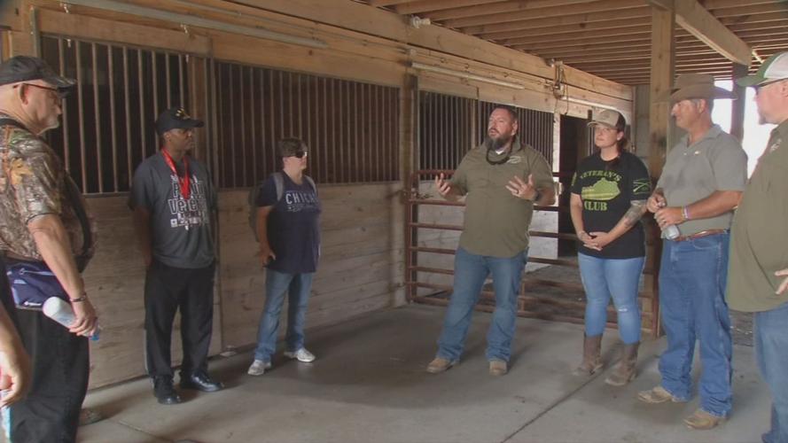 Veterans Club equine therapy meeting.jpg