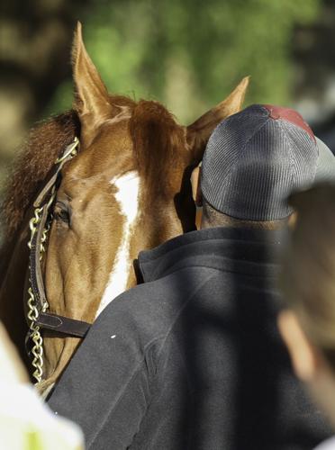 Rich Strike morning after