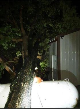 tornado damage in Lexington Indiana