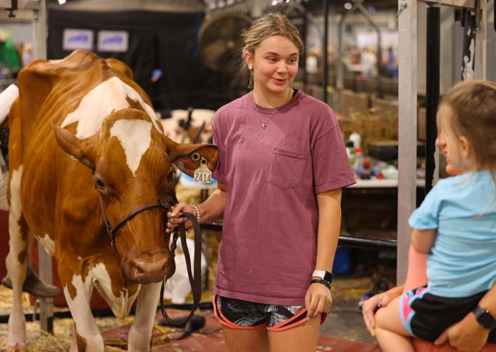 Girl shows off cow at Kentucky State Fair.JPG
