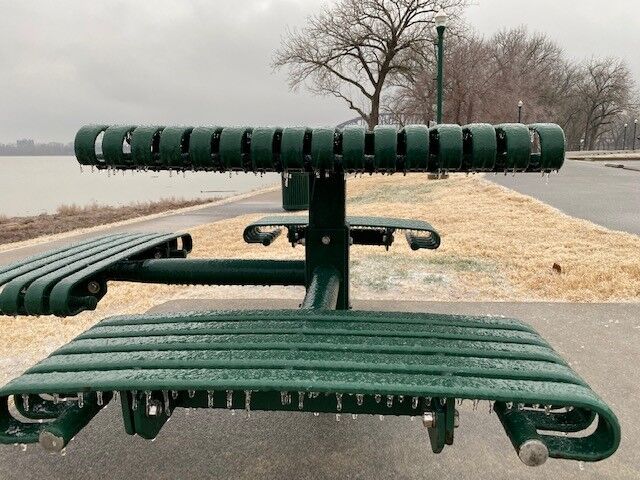 Ashland Park-Clarksville-Snow and ice-2-10-21 (2).jpg