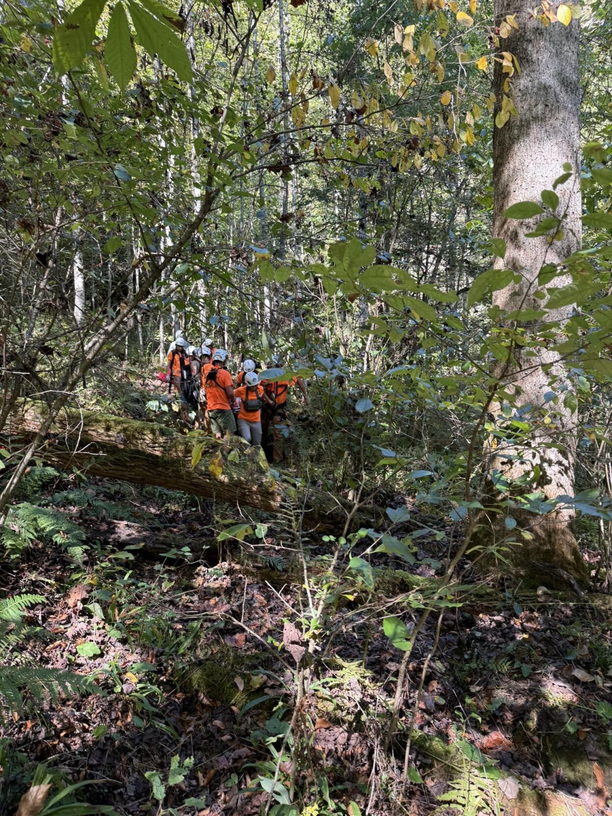 Red River Gorge Rescue