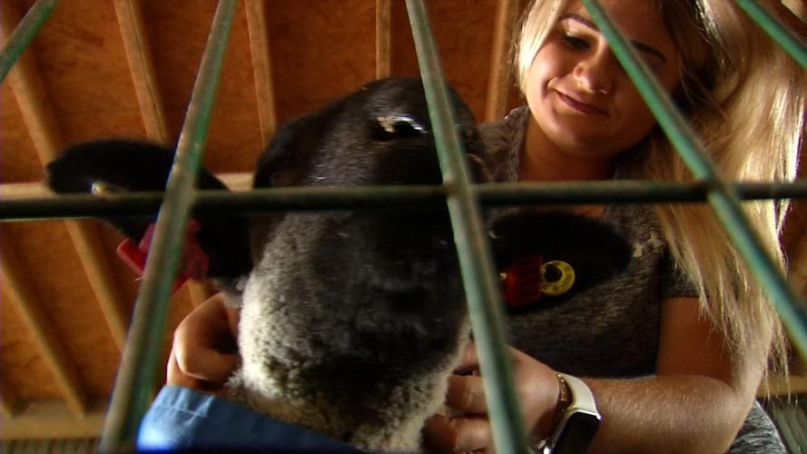 Vine Grove family stresses importance of this year's state fair