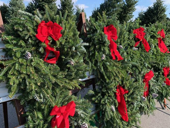 Martin's Christmas Tree Lot